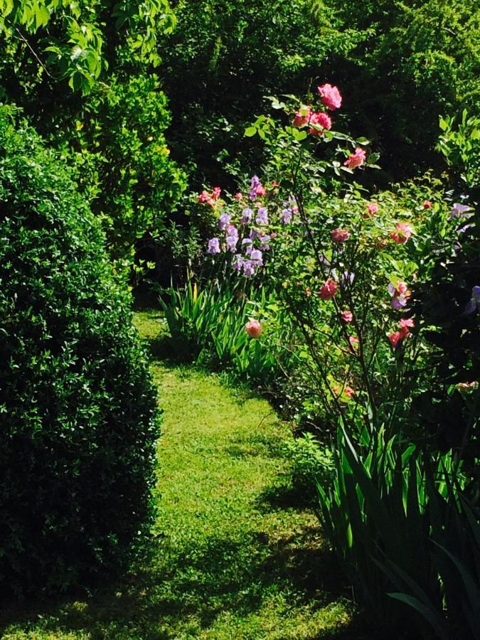 Chateau De Camon Bed & Breakfast *
